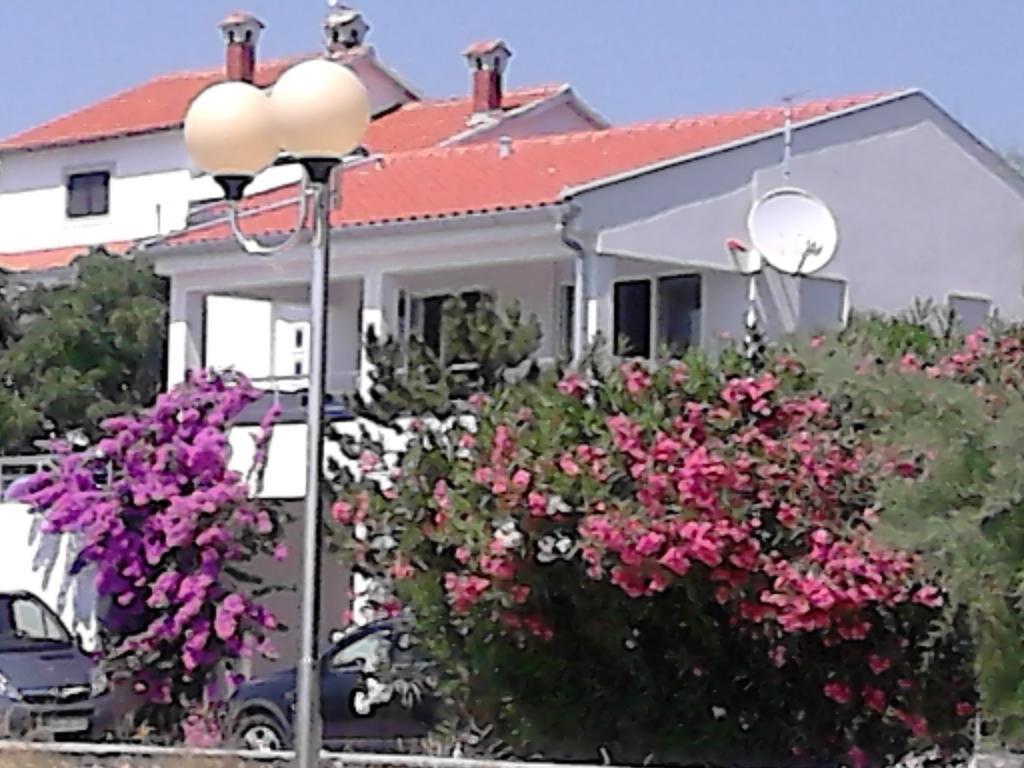 Apartment Sanja Petrcane Pokoj fotografie